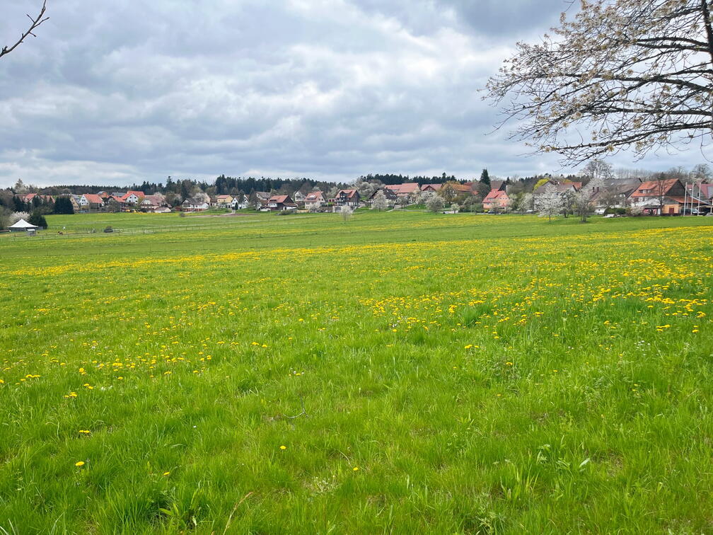 23-04-30 13-38-45 5242